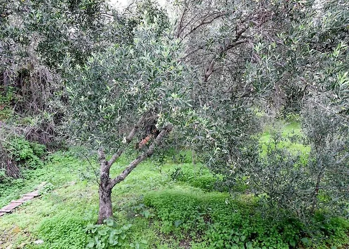 בית נופש The